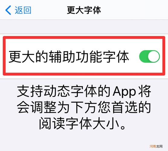 如何在苹果手机上放大字体
