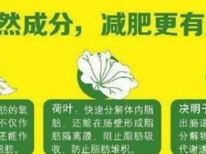 深圳餐饮加盟网