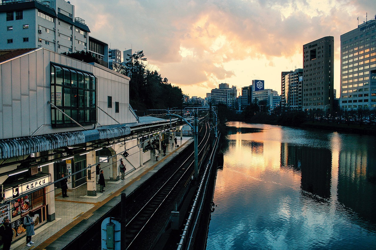 北京新发现，以城市之名，彰显物种多样性