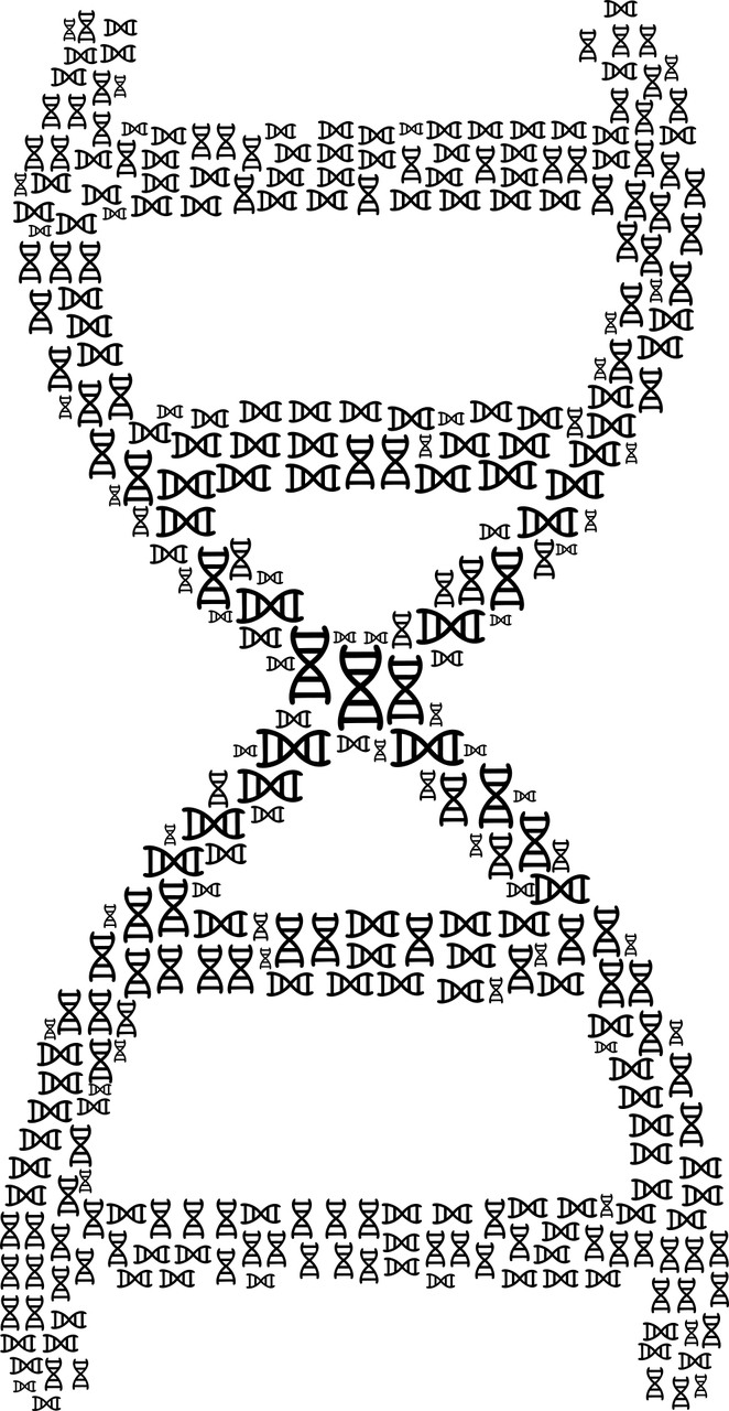 健康指南何时告别全员核酸，科学决策与生活影响